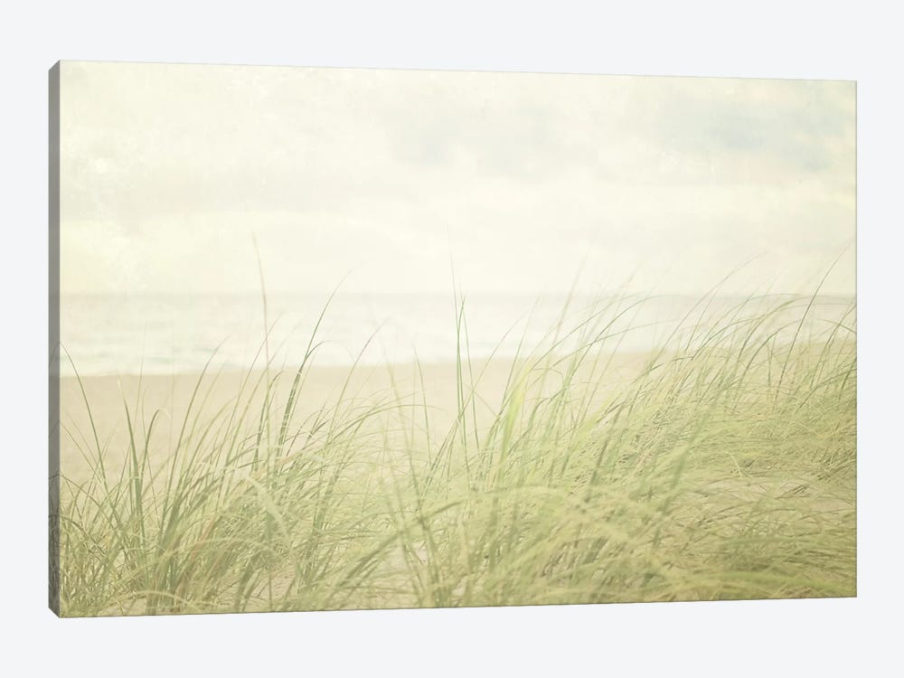 Beach Grass II by Elizabeth Urquhart 1-piece Canvas Artwork