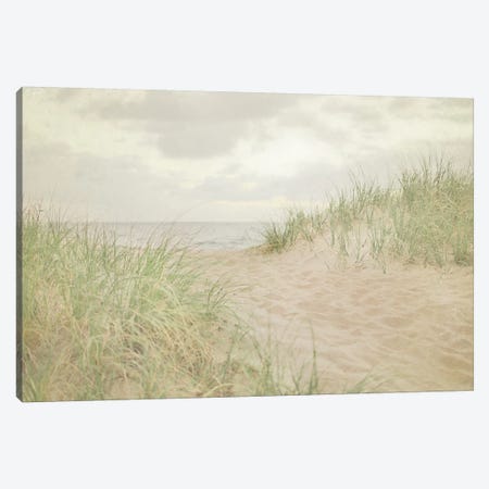 Beach Grass III Canvas Print #WAC3164} by Elizabeth Urquhart Canvas Artwork