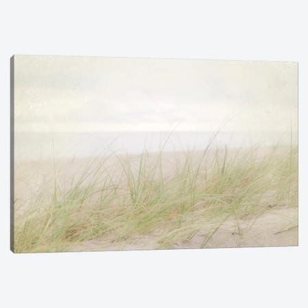 Beach Grass IV Canvas Print #WAC3165} by Elizabeth Urquhart Canvas Artwork