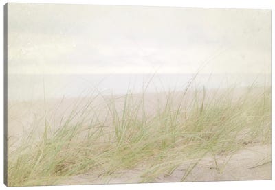 Beach Grass IV Canvas Art Print - Elizabeth Urquhart