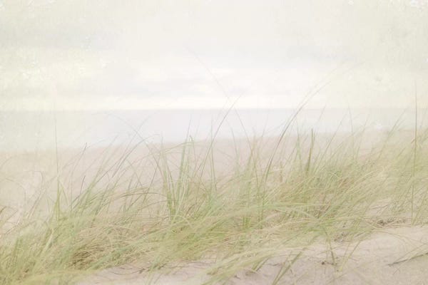 Spring: Beach Grass IV by Elizabeth Urquhart
