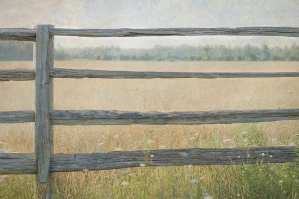 Edge of the Field