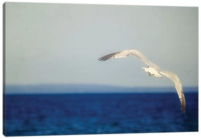 Blue Lake I Canvas Art Print - Gull & Seagull Art