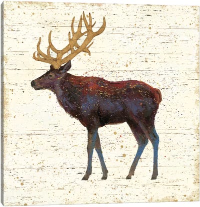 Golden Nature II Canvas Art Print - Elk Art