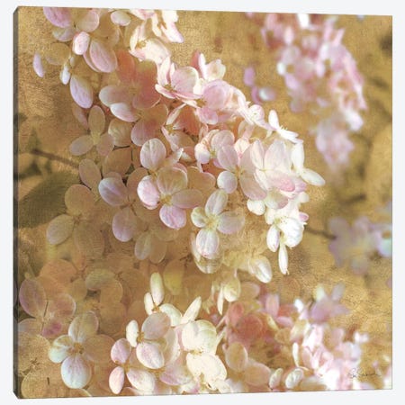 Gilded Hydrangea I Canvas Print #WAC3219} by All That Glitters Canvas Print
