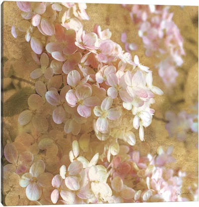 Gilded Hydrangea I Canvas Art Print - Dusty Pink