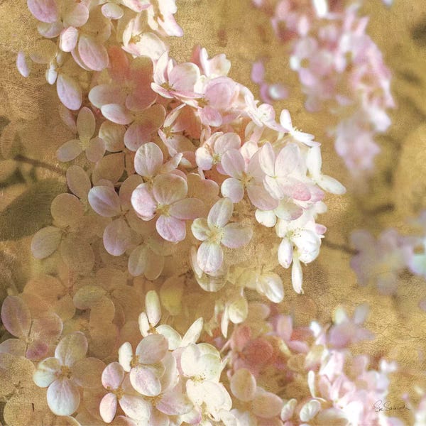 Hydrangeas: Gilded Hydrangea I by All That Glitters