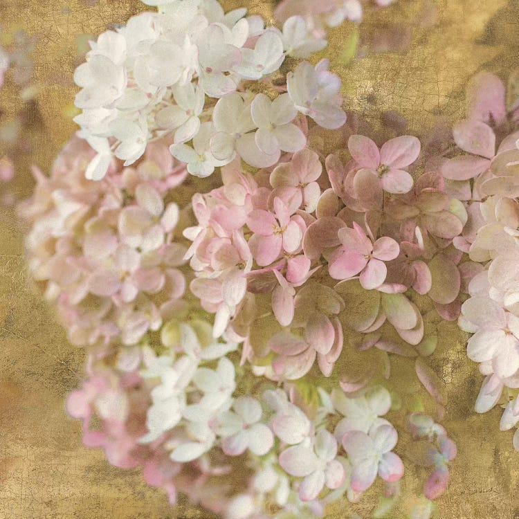 Gilded Hydrangea II by All That Glitters wall art