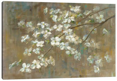 Dogwood in Spring Canvas Art Print - 3-Piece Tree Art