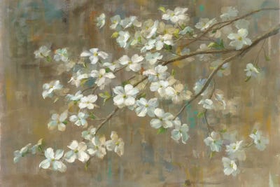 Dogwood Trees