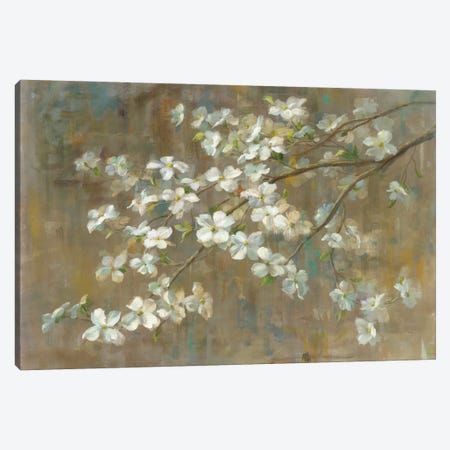 Dogwood in Spring Canvas Print #WAC3231} by All That Glitters Art Print