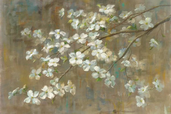 Large Floral & Botanical Art - Canvas Prints: Dogwood in Spring by All That Glitters