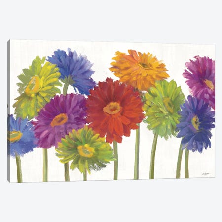 Colorful Gerbera Daisies Canvas Print #WAC3246} by Carol Rowan Art Print