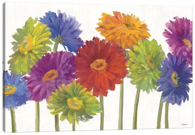 Colorful Gerbera Daisies Canvas Art Print - Daisy Art