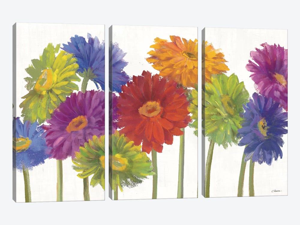 Colorful Gerbera Daisies by Carol Rowan 3-piece Canvas Print
