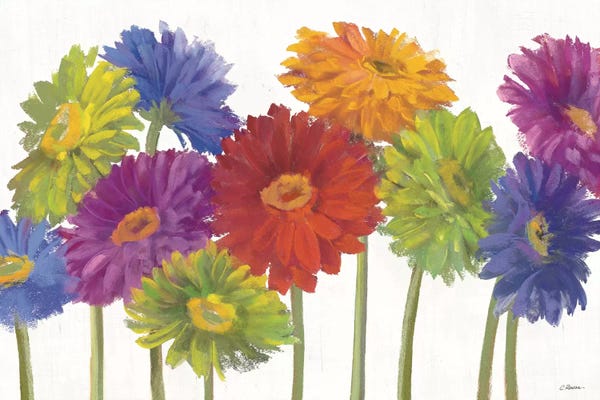 Carol Rowan: Colorful Gerbera Daisies by Carol Rowan