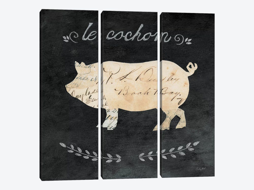 Le Cochon Cameo by Courtney Prahl 3-piece Canvas Wall Art
