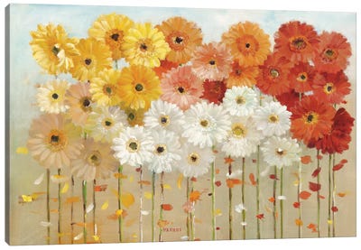 Daisies Spring Canvas Art Print - Best Selling Floral Art