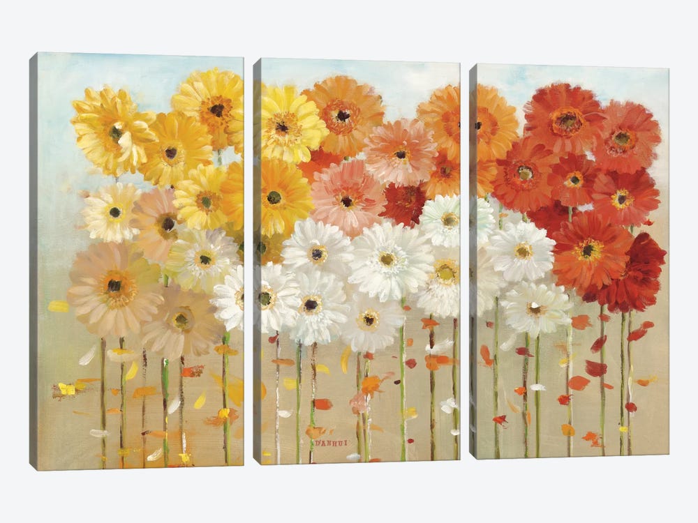 Daisies Spring by Danhui Nai 3-piece Art Print