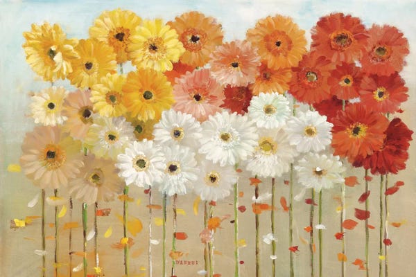 Daisies: Daisies Spring by Danhui Nai