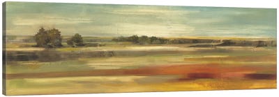 Emerald Meadows Canvas Art Print - Field, Grassland & Meadow Art