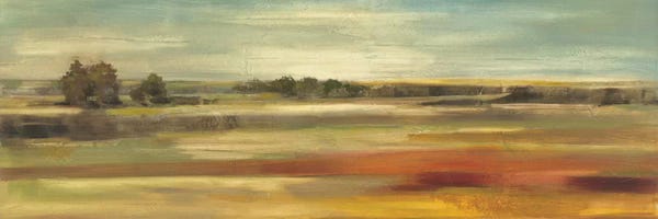 Fields, Grasslands & Meadows: Emerald Meadows by Silvia Vassileva