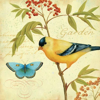 Garden Passion II  by Daphne Brissonnet framed wall art