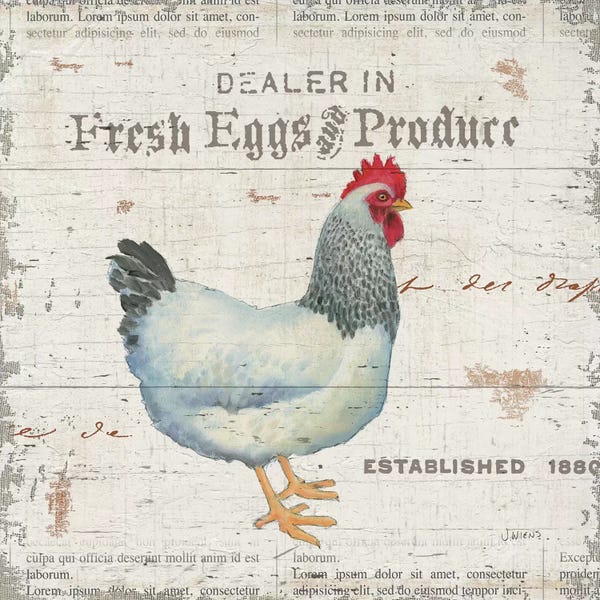 Eggs: On the Farm III by James Wiens