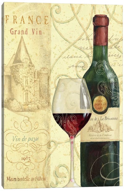 Wine Passion I  Canvas Art Print - Daphne Brissonnet