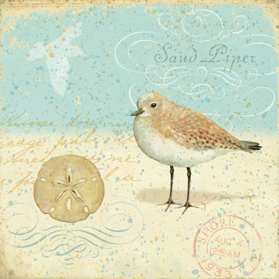 Natural Seashore II  by Daphne Brissonnet canvas print