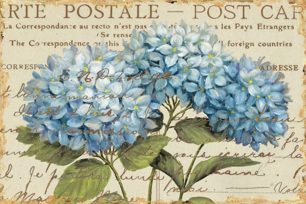 French Country Décor: Thinking of You III - No Border by Daphne Brissonnet