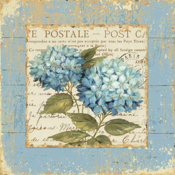 French Country Décor: Thinking of You II  by Daphne Brissonnet