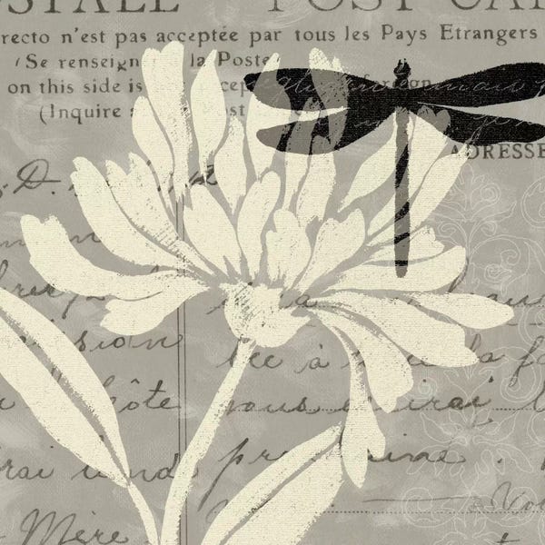 Dragonflies: Natural Prints II by Daphne Brissonnet