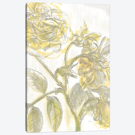 Belle Fleur Jaune I Canvas Print #WAC3702} by Sue Schlabach Canvas Print