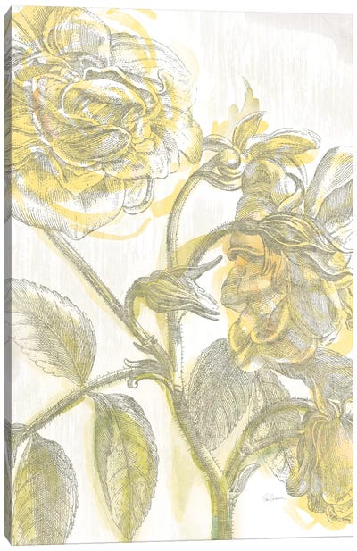 Belle Fleur Jaune I Canvas Art Print - Soft Yellow & Blue