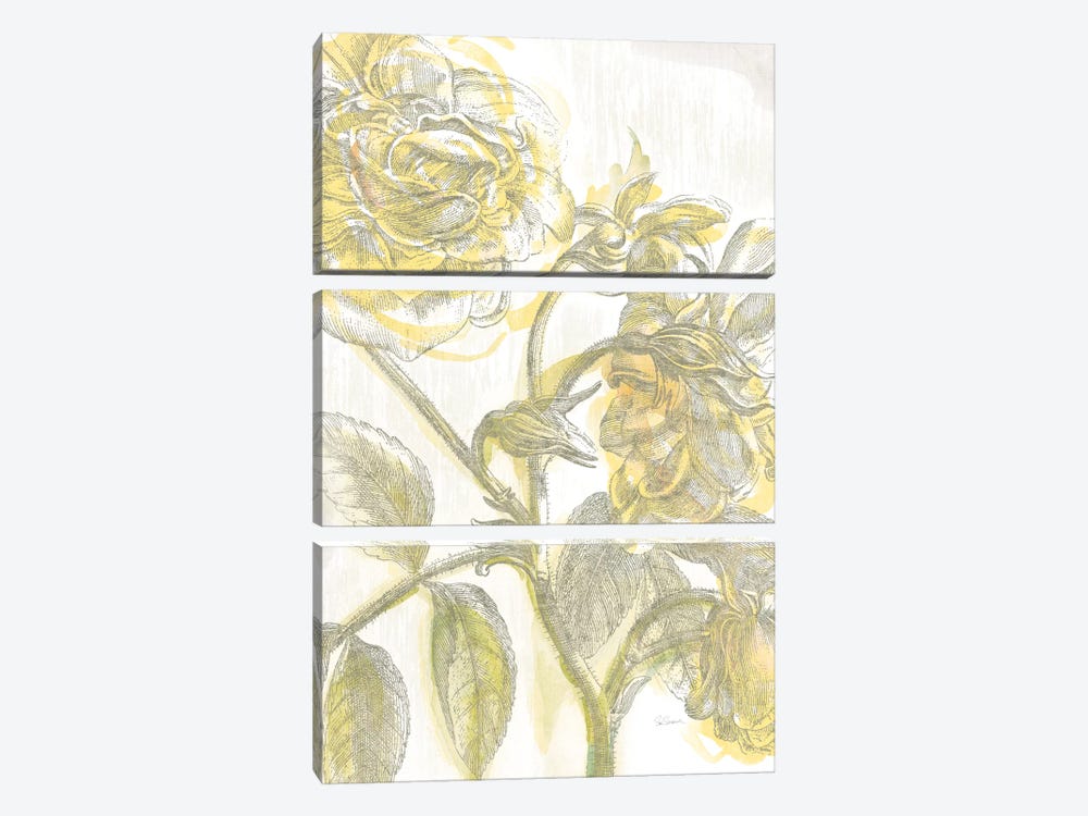 Belle Fleur Jaune I by Sue Schlabach 3-piece Canvas Print