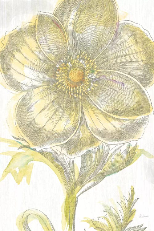 Belle Fleur Jaune II Canvas Art by Sue Schlabach | iCanvas