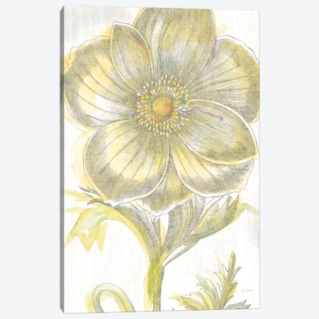 Belle Fleur Jaune II Canvas Print #WAC3703} by Sue Schlabach Canvas Art Print