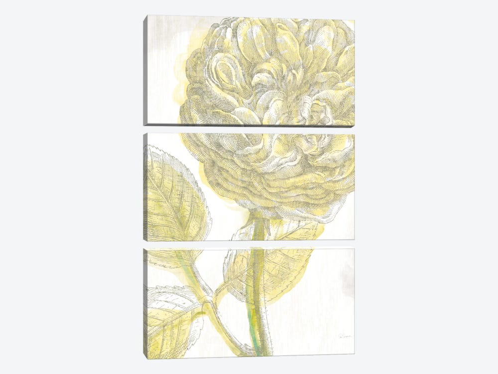 Belle Fleur Jaune III 3-piece Canvas Print
