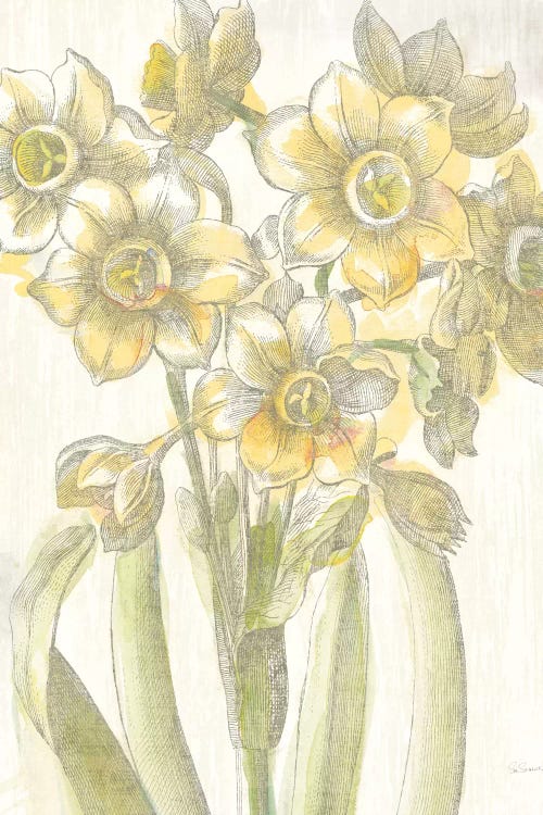 Belle Fleur Jaune IV by Sue Schlabach wall art