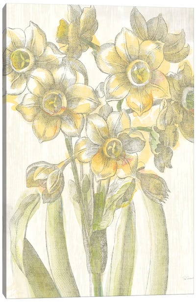Belle Fleur Jaune IV Canvas Art Print - Soft Yellow & Blue