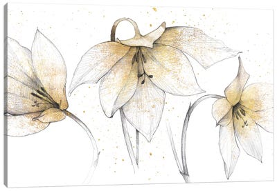 Gilded Graphite Floral Trio Canvas Art Print - White Art