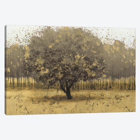 Golden Trees I Canvas Print #WAC3709} by James Wiens Canvas Art Print