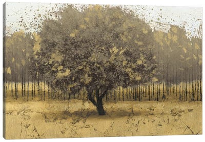 Golden Trees I Canvas Art Print