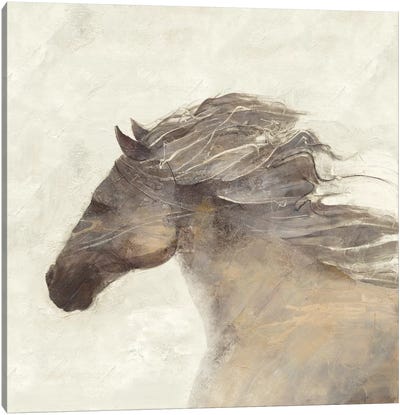 Into The Wind Ivory Canvas Art Print - Horse Art