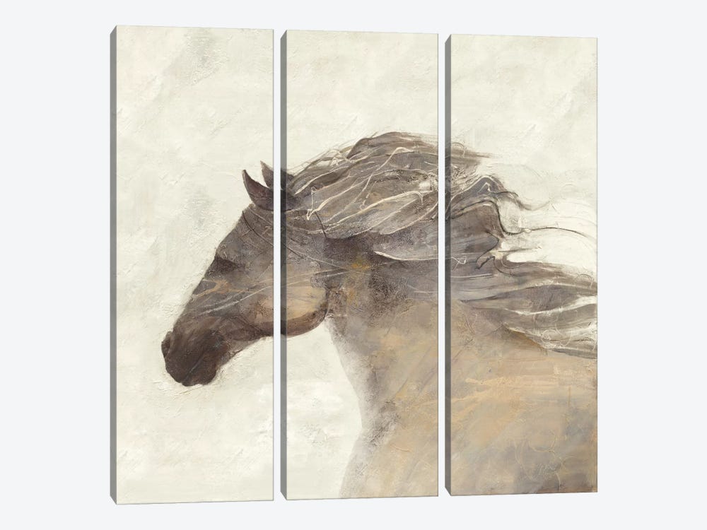 Into The Wind Ivory by Albena Hristova 3-piece Canvas Print