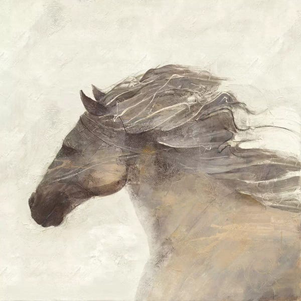 Rustic Décor: Into The Wind Ivory by Albena Hristova