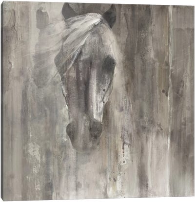 Shadow Light Canvas Art Print - Horses