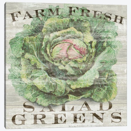 Farm Fresh Greens Canvas Print #WAC3736} by Sue Schlabach Art Print