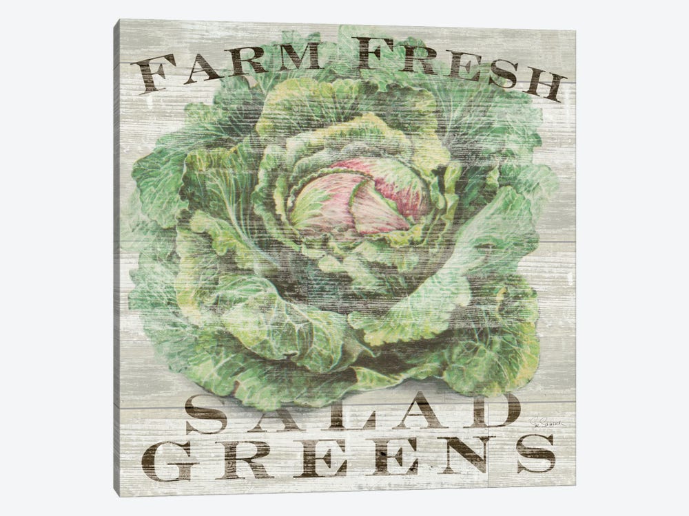 Farm Fresh Greens by Sue Schlabach 1-piece Canvas Art